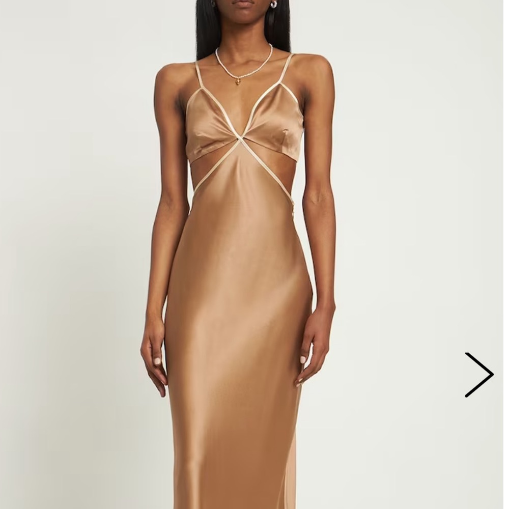 NWT Reformation Poppies Silk Dress in Croissant